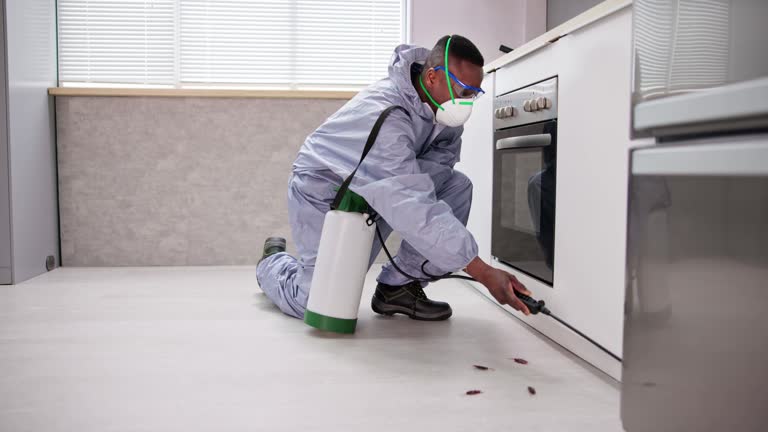 Reliable Princeton, NC Pest Control Solutions